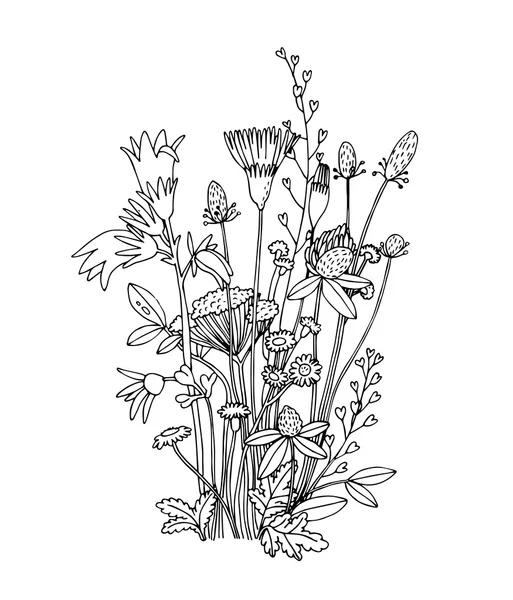 Schets van de wilde bloemen op een witte achtergrond. — Stockvector