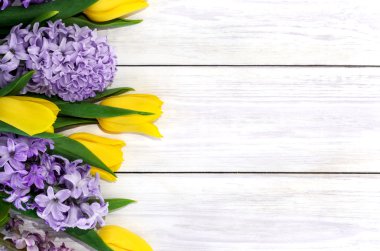 Lale ve sümbül arka plan