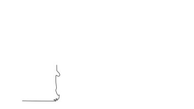 Tek çizgili animasyon, bir bacağı havada, kolu gökyüzüne doğru genişlemiş, çekirdek kuvveti ve dikey zarafetle mükemmel bir şekilde dengede duran balerini kendine çekiyor. Devamlı bir çizgi. Tam uzunluk canlandırması