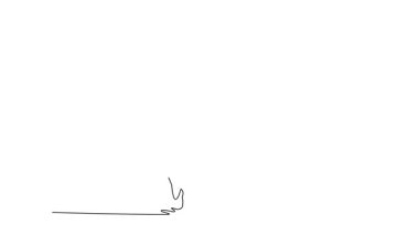 Tek çizgili animasyon balerin etekli, kolları çapraz bacaklı, klasik zarafette geniş açıyla dengede duran balerin çizer. Devamlı çizgi çekme. Tam uzunluk canlandırması