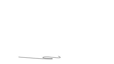 Animasyon çizimleri sürekli olarak çekici genç erkekleri kendine çekiyor. Kış sporlarının zaferini ve neşesini vurgulamak için başlarının üstünde duran snowboard sporu ile. Tam uzunluktaki bir çizgi canlandırması