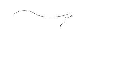 Tek çizgili animasyon, dalgıç bir sporcuyu suyun üzerinde kusursuz salto pozisyonuna getiriyor, hassasiyeti ve akışkan hareketi gösteriyor. Devamlı bir çizgi. Tam uzunluk canlandırması