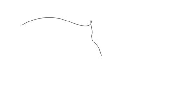 Animasyonlu kendini çizme durmaksızın çizen dalgıç sporcuyu suya, hassasiyete, akışkan harekete girer girmez taklalar atarak kusursuz pozisyona getiriyor. Tam uzunluktaki tek çizgi canlandırması