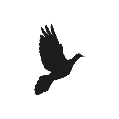 Tek güvercin siluetleri seviyorum