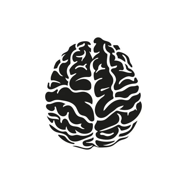 Ilustración vectorial del cerebro humano sobre fondo blanco — Vector de stock