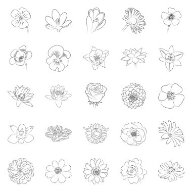 basit siyah anahat çiçek simgesi seti