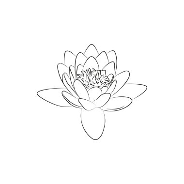 beyaz arka plan üzerinde güzel zambak veya lotous çiçek basit siyah çizgili simge