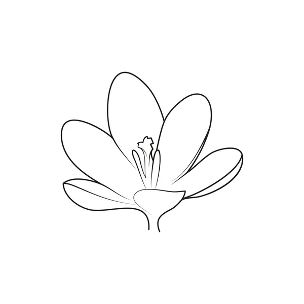 çiğdem güzel çiçek beyaz arka plan üzerinde basit siyah astarlı simge