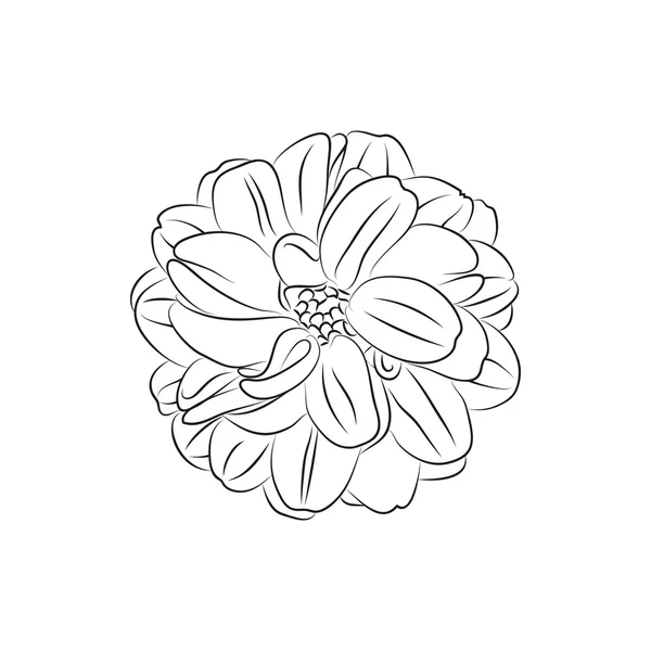 Beautiful flower simple black lined icon on white background — Stock Vector