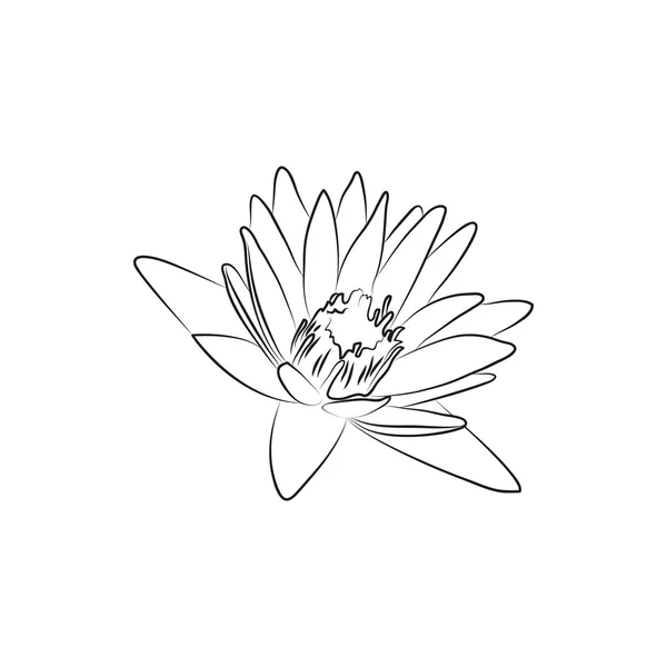 Hermoso lirio o flor de lotería simple icono forrado negro sobre fondo blanco Ilustraciones De Stock Sin Royalties Gratis