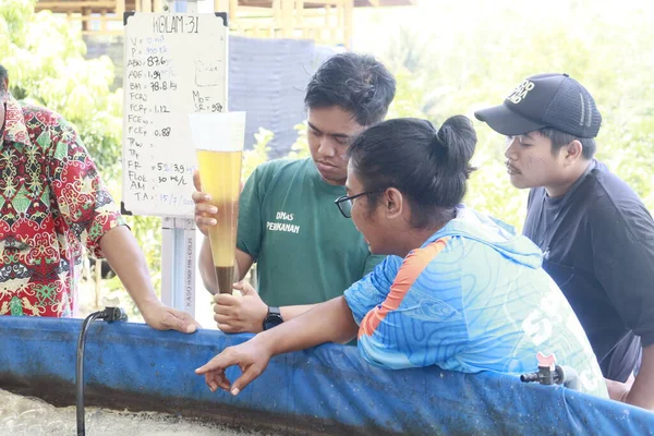 Melapeh Baru Köyü, Lingang Bigung Bölgesi, Batı Kutai Regency, Doğu Kalimantan Bölgesi - 25 Eylül 2025: Biyolog sistemini kullanarak balık çiftçiliği eğitimine katılanlar suyu kontrol ediyorlar 