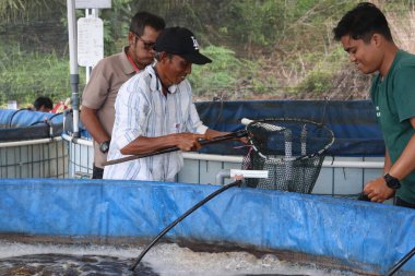 Melapeh Baru Köyü, Lingang Bigung Bölgesi, Batı Kutai Regency, Doğu Kalimantan Bölgesi - 25 Eylül 2025: Particticileri eğitmek için bir kaynak tarafından biyolog sistemi ile balık çiftçiliği eğitimi