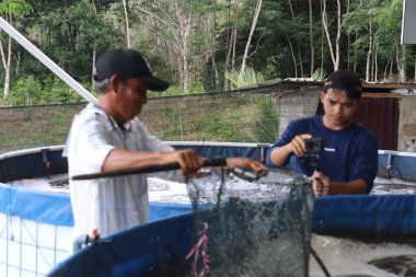Melapeh Baru Köyü, Lingang Bigung Bölgesi, Batı Kutai Regency, Doğu Kalimantan Bölgesi - 25 Eylül 2025: Particticileri eğitmek için bir kaynak tarafından biyolog sistemi ile balık çiftçiliği eğitimi