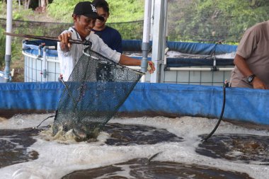 Melapeh Baru Köyü, Lingang Bigung Bölgesi, Batı Kutai Regency, Doğu Kalimantan Bölgesi - 25 Eylül 2025: Particticileri eğitmek için bir kaynak tarafından biyolog sistemi ile balık çiftçiliği eğitimi