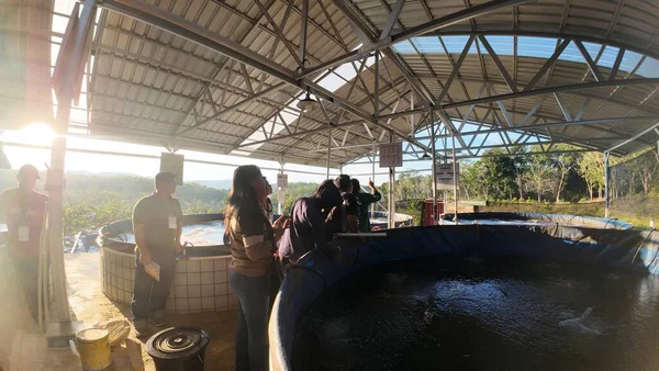 Melapeh Baru Köyü, Lingang Bigung Bölgesi, Batı Kutai Regency, Doğu Kalimantan Bölgesi - 25 Eylül 2025: Particticileri eğitmek için bir kaynak tarafından biyolog sistemi ile balık çiftçiliği eğitimi