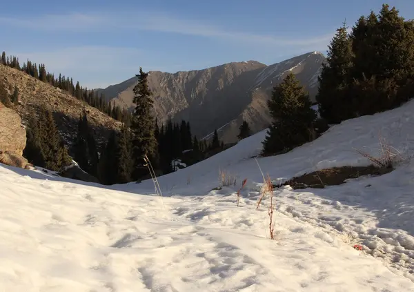 Góry, Almaty, Kazachstan — Zdjęcie stockowe