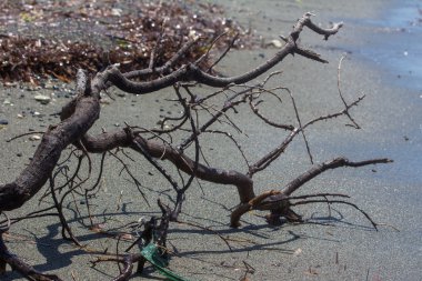 kayalar ve ufuk deniz manzarası