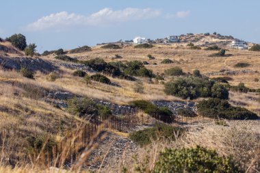 bitkiler ve Binalar ile manzara