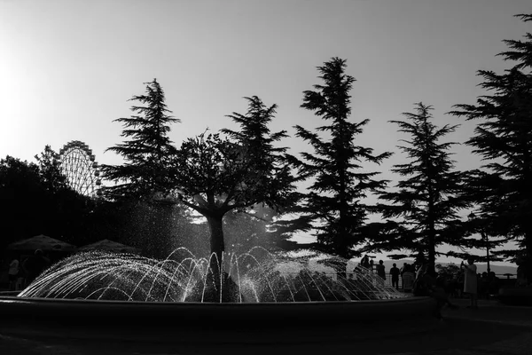 Silhouetten van mensen, fontein spray in het park — Stockfoto