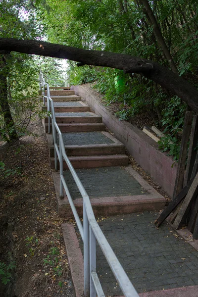 Ступеньки лестницы на склоне — стоковое фото