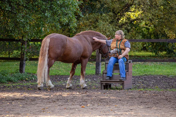 2020年9月27日 俄罗斯莫斯科 一匹棕色的马站在花园边的驯马师旁边 侧面看去 农场动物的培训 — 图库照片