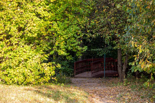 Une Route Dans Parc Automne Vue Saisonnière Moscou — Photo