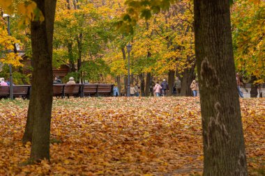11.10.2020, Moskova, Rusya. Bir grup insan sonbahar tarihi parkında dolanıyor..