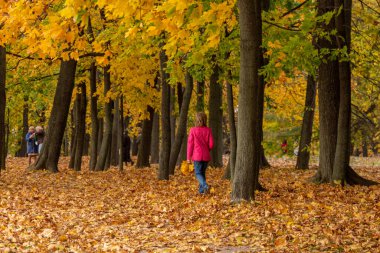 11.10.2020, Moskova, Rusya. Bir grup insan sonbahar tarihi parkında dolanıyor..