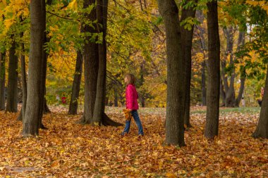11.10.2020, Moskova, Rusya. Bir grup insan sonbahar tarihi parkında dolanıyor..