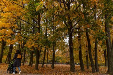 11.10.2020, Moskova, Rusya. Bir grup insan sonbahar tarihi parkında dolanıyor..