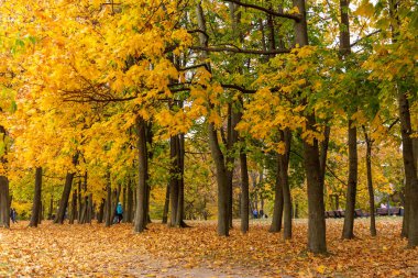 11.10.2020, Moskova, Rusya. Bir grup insan sonbahar tarihi parkında dolanıyor..