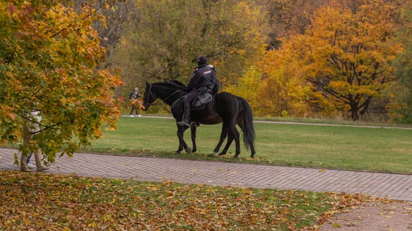 2020 Moscow Russia Police Officers Riding Horse Background Falling Trees — 图库照片