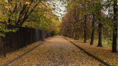 Sonbahar parkında bir yol. Moskova 'da mevsimlik manzara.