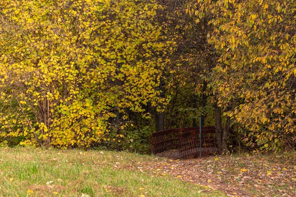 Échelle Bois Dans Parc Automne Vue Saisonnière Moscou — Photo