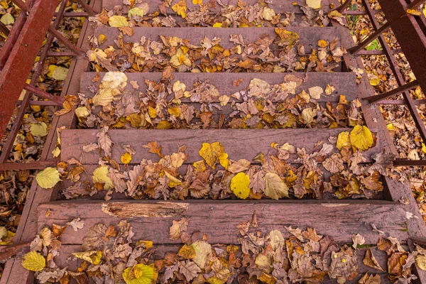 Escalera Madera Parque Otoño Vista Estacional Moscú — Foto de Stock