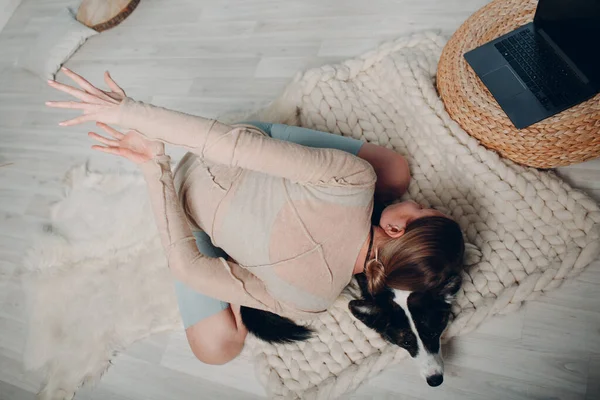 Felnőtt érett nő csinál jóga otthon a nappaliban corgi kutya kisállat online tutorials a laptop — Stock Fotó