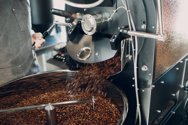 Kahve kızartma işleminde kahve soğutma makinesinde soğutuluyor. Genç bayan işçi bulanık kahve çekirdeklerini döker..