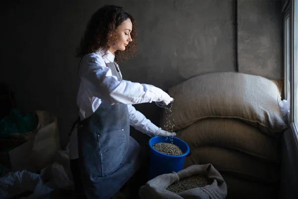 Young woman worker roaster fills green coffee beans jar with scoop. Green coffee beans in burlap sack at coffee roasting company. Coffee trading business concept