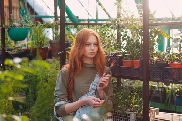 Il concetto di giardinaggio domestico. Giovane donna dai capelli rossi piante floreali in serra. — Foto Stock