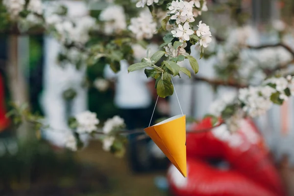 Badut topi kardus kuning tergantung di cabang pohon — Stok Foto