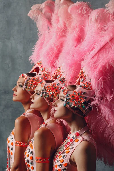 Tre donne ritratto profilo in samba o lambada costume con piumaggio piume rosa — Foto Stock