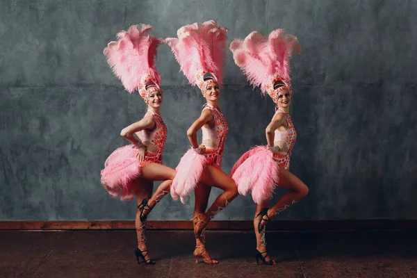 Mulheres em traje de cabaré com penas rosa plumagem dança samba — Fotografia de Stock