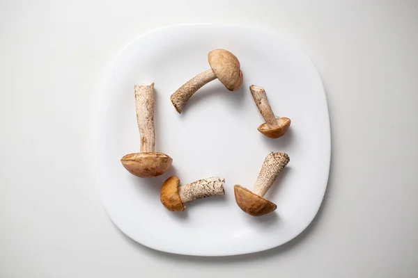 Čerstvé syrové boletus houby v bílém talíři na bílém pozadí — Stock fotografie