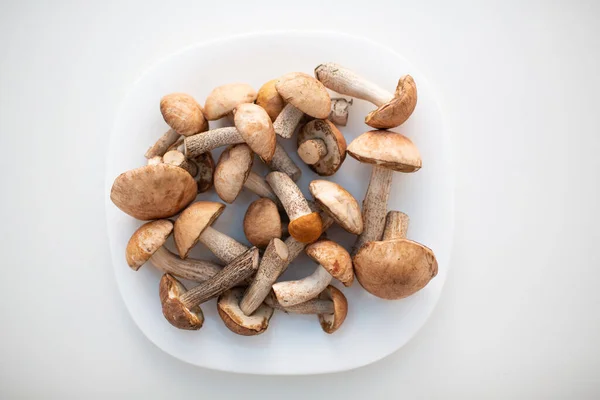Čerstvé syrové boletus houby v bílém talíři na bílém pozadí — Stock fotografie