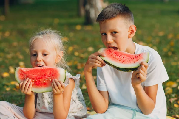 Per i bambini svegli lttle ragazzo e ragazza mangiare succosa anguria nel prato parco autunnale — Foto Stock