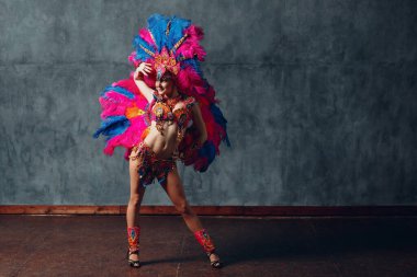 Renkli tüyleri olan Brezilya Samba Karnavalı kostümlü kadın.