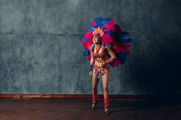 Mujer en traje de carnaval de samba brasileña con plumaje de plumas de colores —  Fotos de Stock