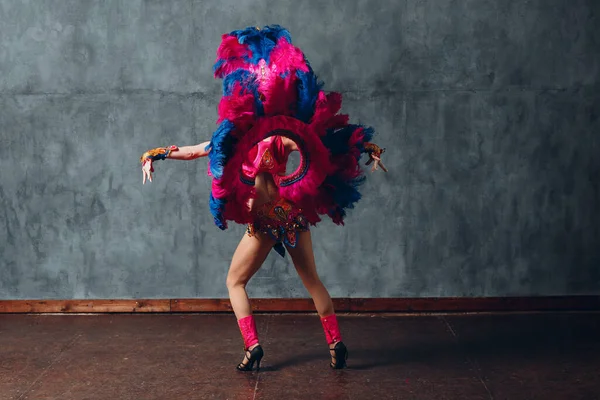 Wanita di brazilian samba karnaval kostum dengan warna-warni bulu bulu bulu — Stok Foto