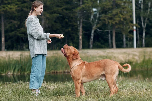 Dogue de Bordeaux o French Mastiff con giovane donna che gioca con la palla al parco all'aperto — Foto Stock