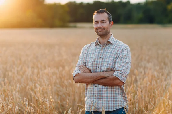 Uomo contadino nel campo di grano al tramonto. Agricoltura e raccolto agricolo, — Foto Stock